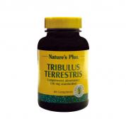 TRIBULUS TERRESTRIS