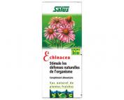 SUC DE PLANTES FRAICHES ECHINACEA