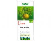 SUC DE PLANTES FRAICHES CELERI