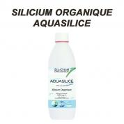 SILICIUM ORGANIQUE