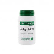 PHYTO GINGKO