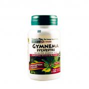 GYMNEMA SYLVESTRE