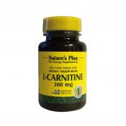 L-CARNITINE