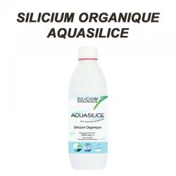 SILICIUM ORGANIQUE