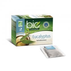 Infusion EUCALYPTUS