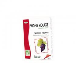 VIGNE ROUGE BIO