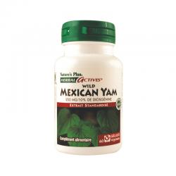 WILD MEXICAN YAM