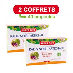 RADIS NOIR-ARTICHAUT BIO